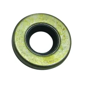 0332261 Sierra 030999310163 Oil Seal Fits Omc - 18-2065 Oem#