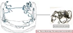 Engine Room Harness Oem 2015 Mazda 6 Used. Price: $200.00.