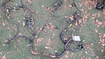 88 Crx Si Oem Body Harness Front Cabin Used. Price: $450.00.