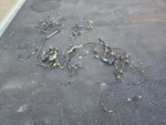 1990-91 Honda Crx Hf Body Chassis Harness Loom Fuse Box Used. Price: $429.99.
