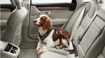 Genuine Volvo Dog Harness (smaller Than Approx. 33 Lbs.) - 31470368 New. Price: $144.95.