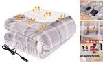 Westinghouse Heated Car Blanket With 3 Heating Upgrade Model Beige Plaid New. Price: $58.21.