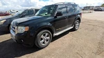 Camera/projector Rear View In Liftgate Fits 10-12 Escape 32614818 Used. Price: $110.70.