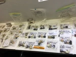 Huge Lot 1980S - 2000S Ford Mopar Toyota Radio Cassette Cd Test Wiring Plugs Used. Price: $90.00.