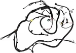 Genuine Nissan Engine Wiring Harness 24023-9N00B. Price: $386.01.
